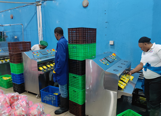 Malgré de nombreuses difficultés, notre entreprise a aidé la chaîne de production du Congo-Brazzaville à atterrir en douceur.